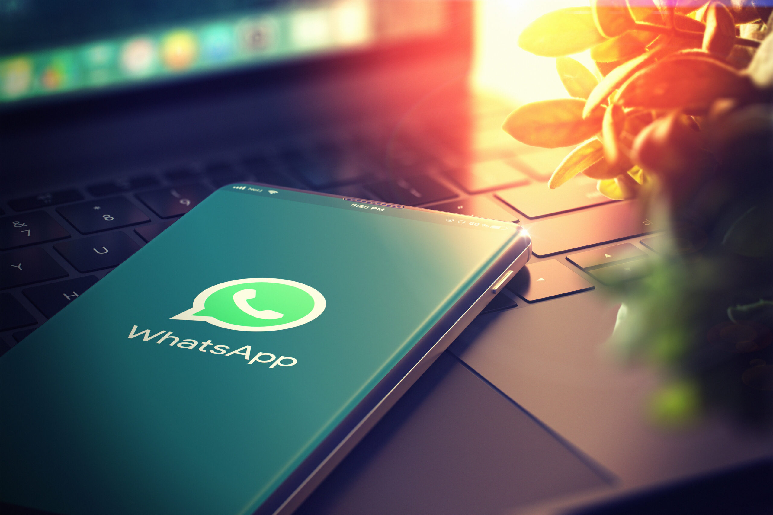 Protecting You From WhatsApp Impersonation Scams