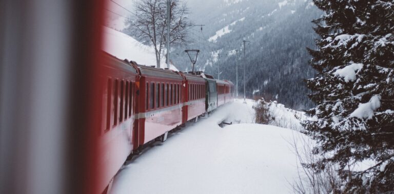 January 2026 Market Update