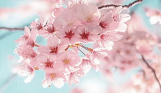 Market Update – Spring 2026