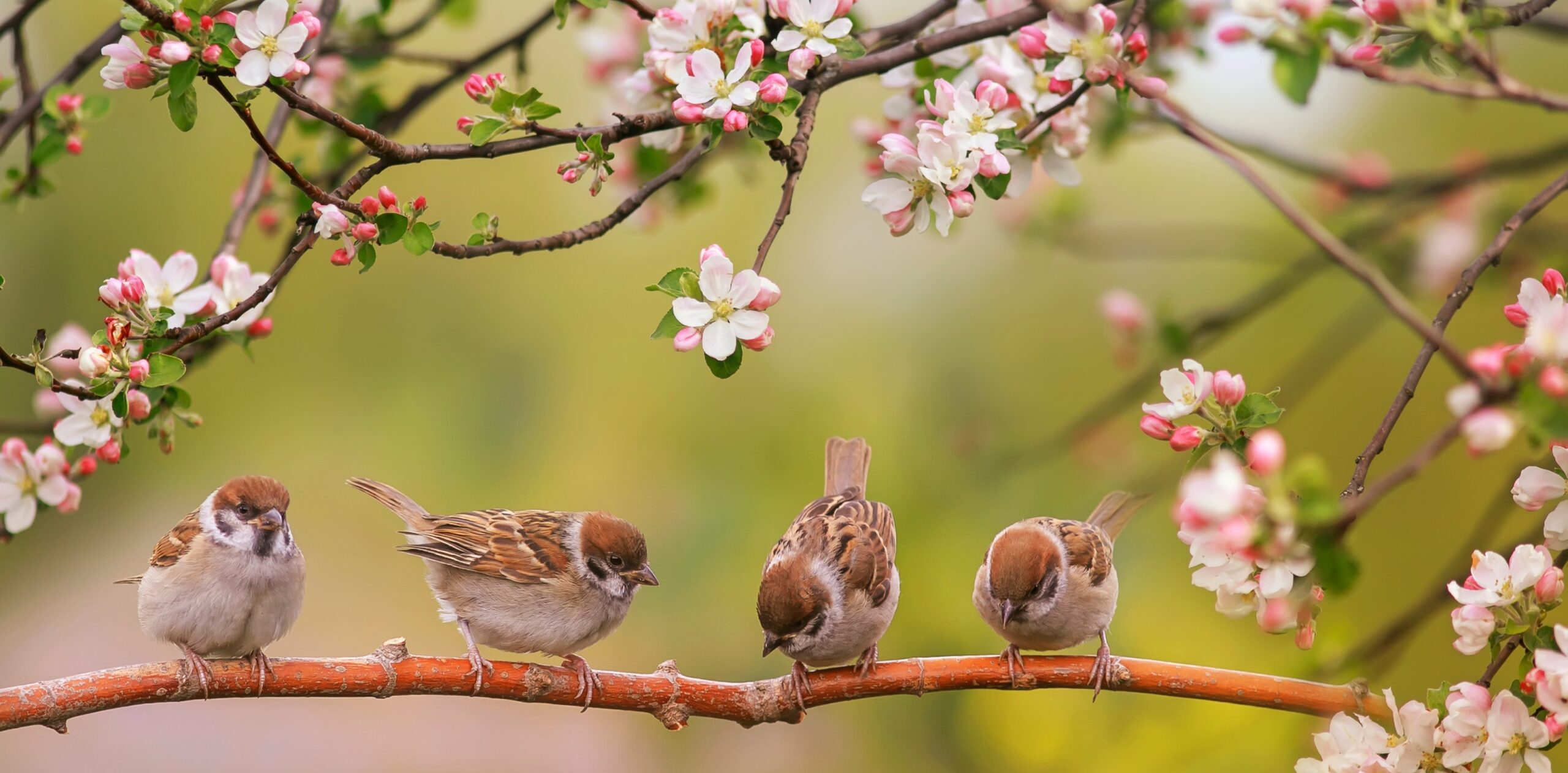 April 2026 Market Update