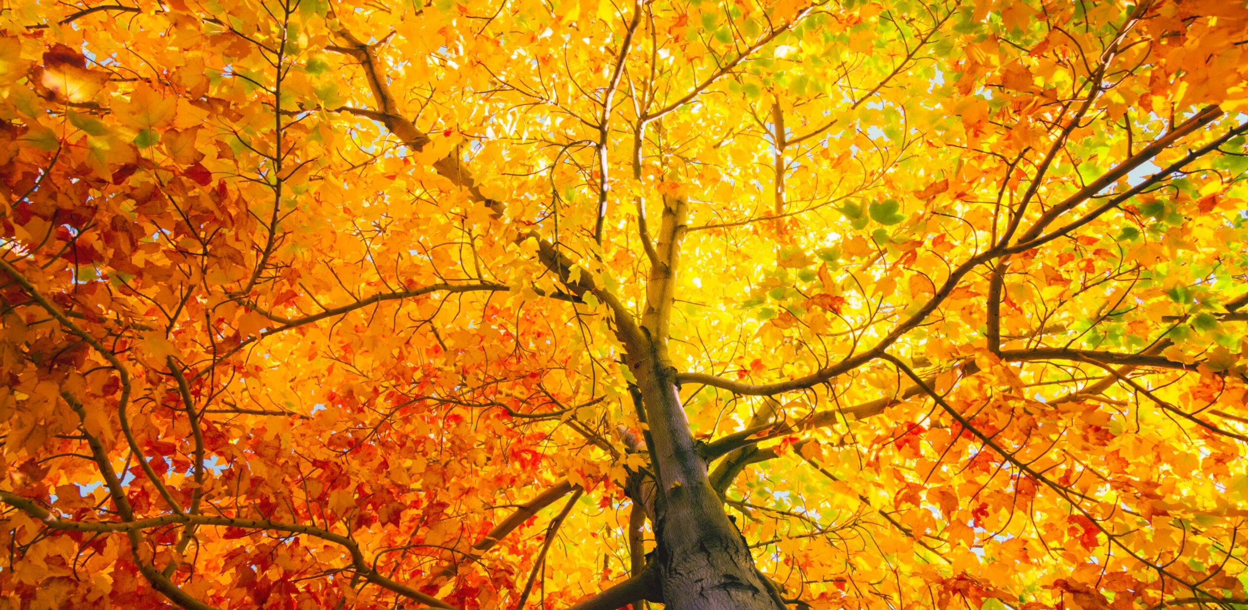 October 2026 Market Update